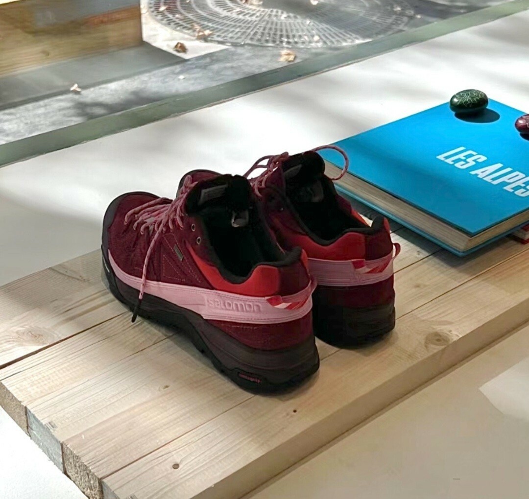 ALOMON GTX FOR TBA X-DESALPES 玫瑰紅 紅色 耐磨防滑