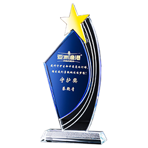 訂製造型水晶獎座 升級送激光刻字 DS258-23