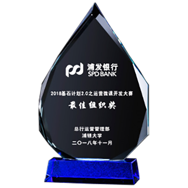 DS258-19 造型水晶獎座 DS258-19