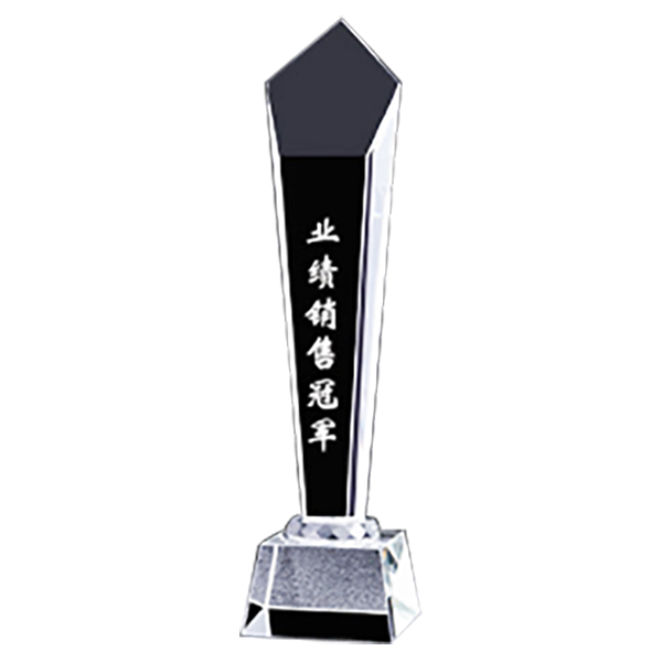 DS258-11 造型水晶獎座 DS258-11