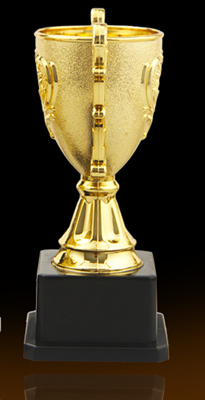 訂製塑膠獎盃18CM 升級送彩色排版金貼 300
