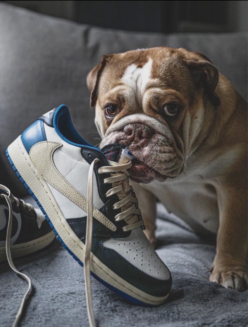 【預購】Air Jordan 1 Low Fragment x Travis Scott 三方聯名 藤原浩 倒鉤 閃電 白藍色 DM7866140