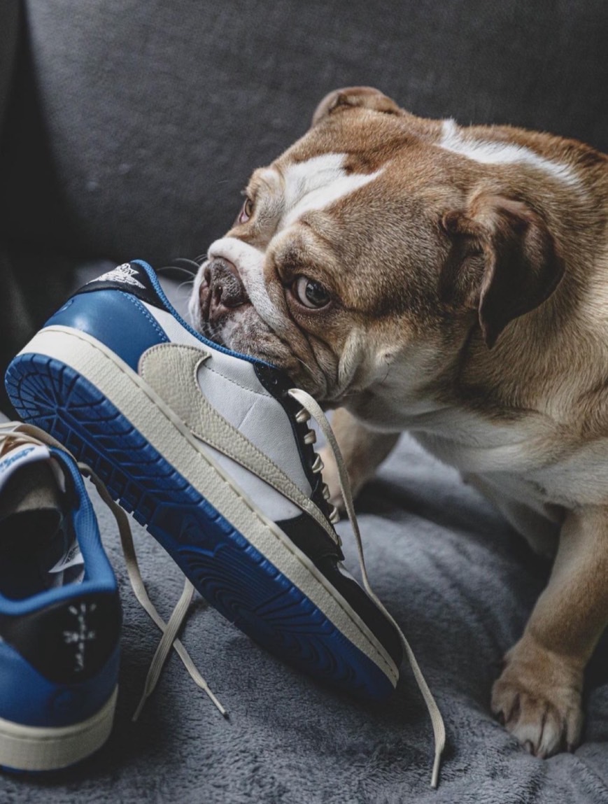 【預購】Air Jordan 1 Low Fragment x Travis Scott 三方聯名 藤原浩 倒鉤 閃電 白藍色 DM7866140