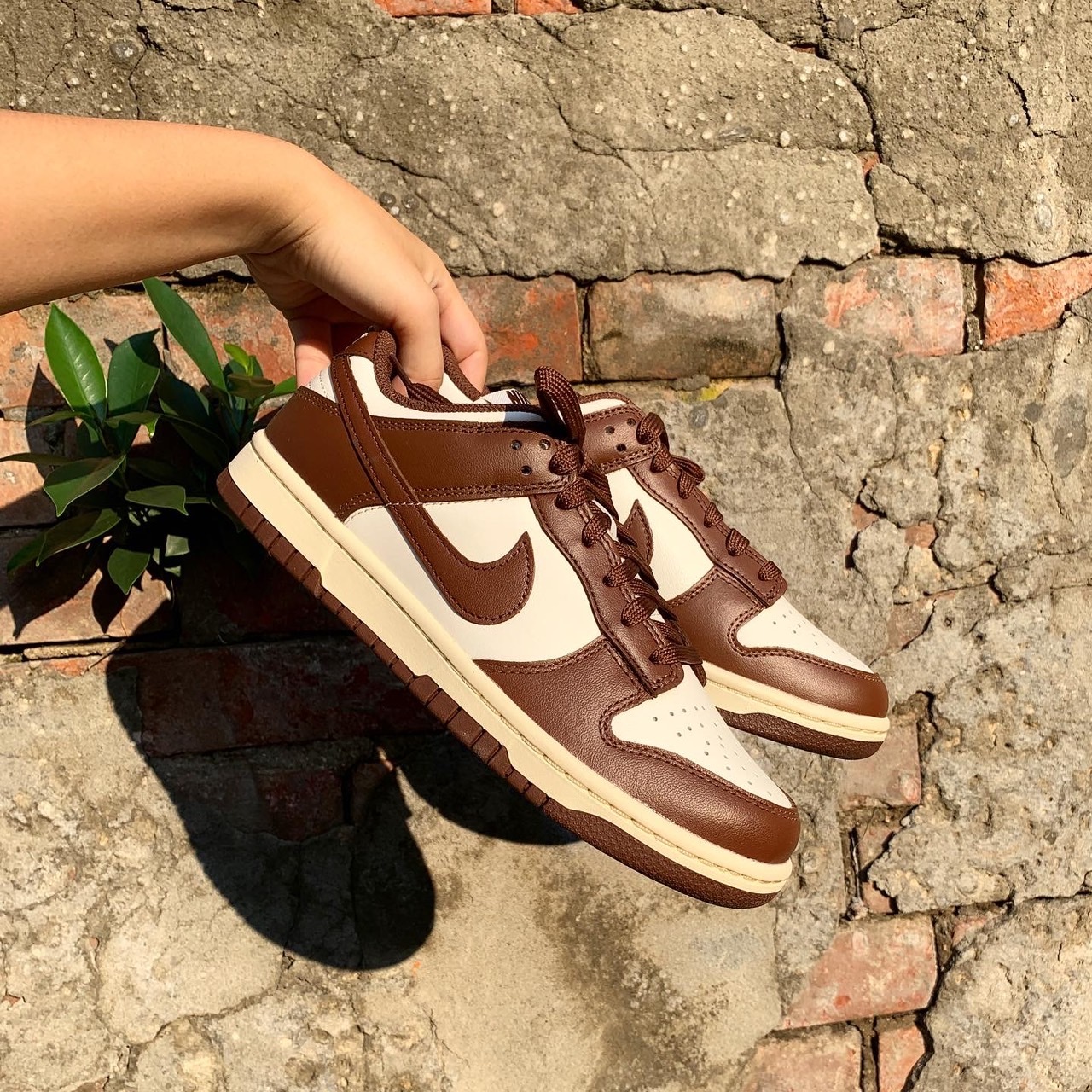 Nike Dunk Low 可可棕 DD1503-124