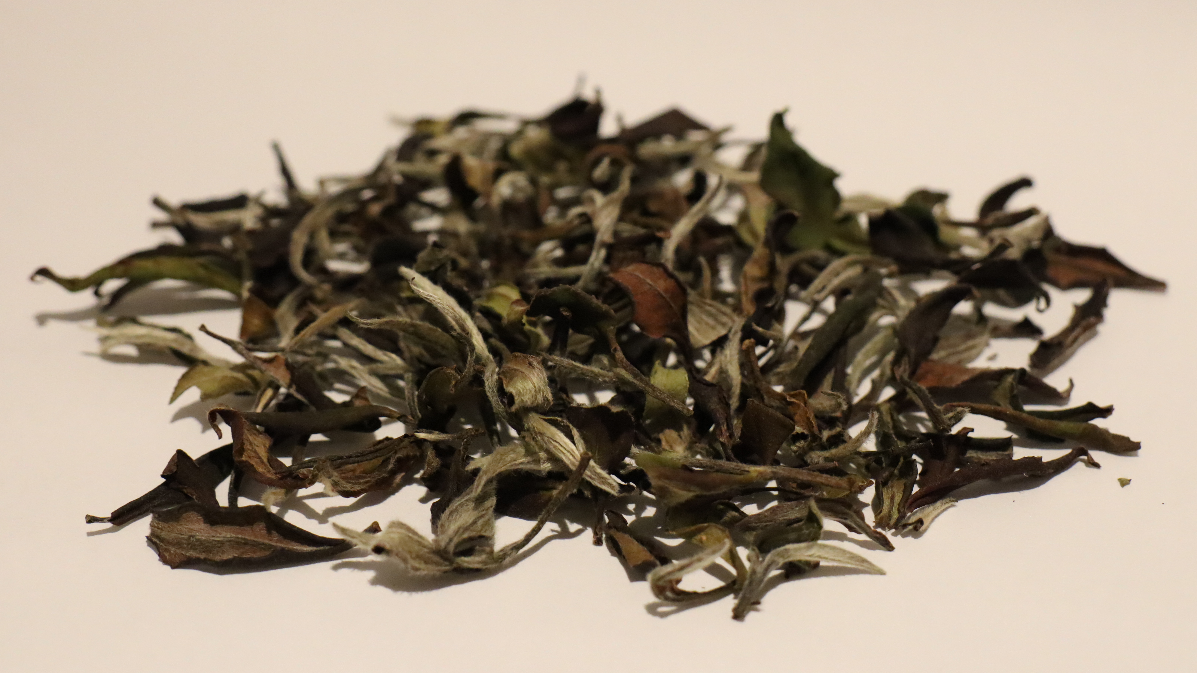 白毛猴白茶 30g｜品味罐
