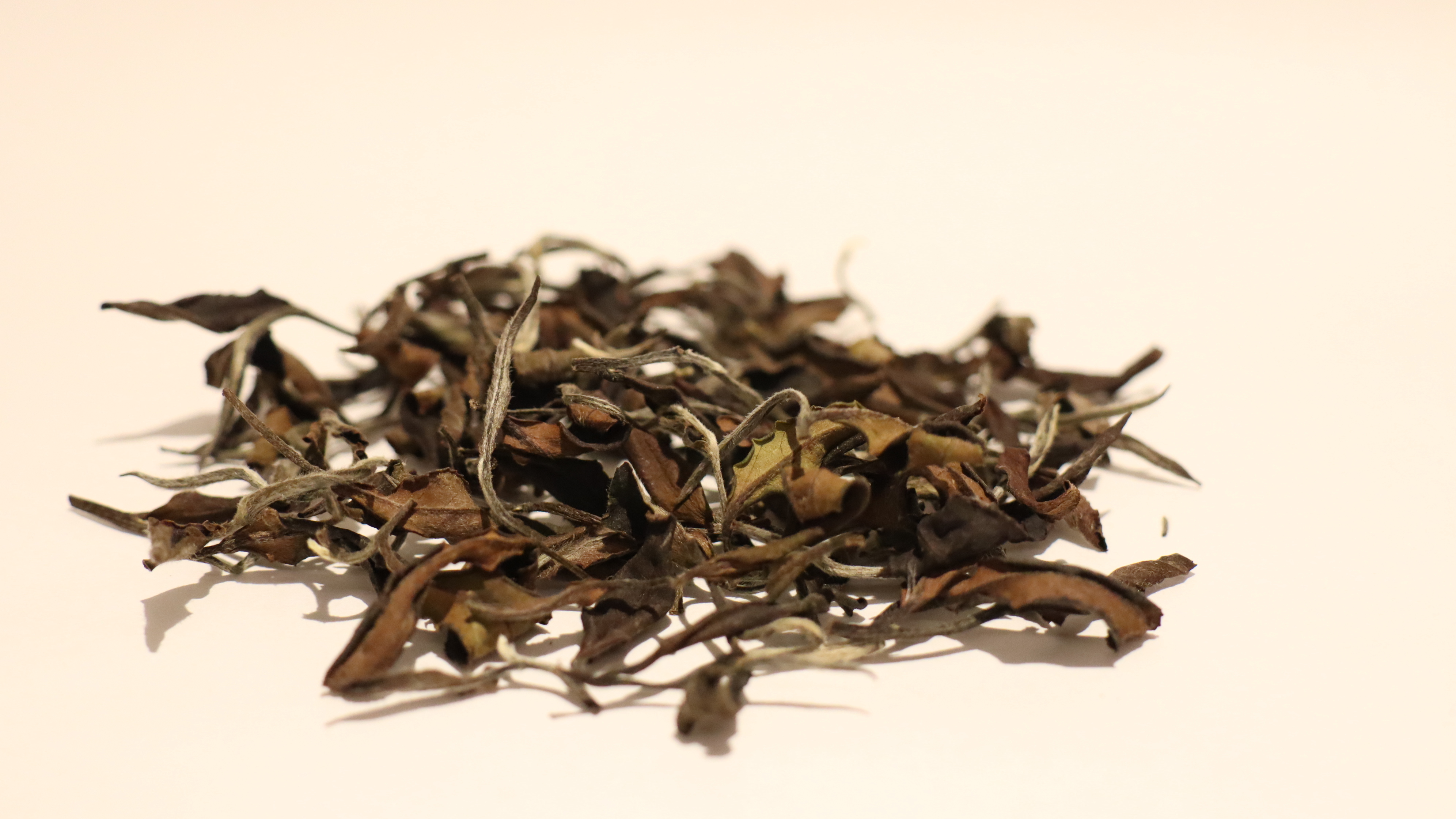 英格蘭應援組｜白毛猴白茶+大慢種白茶 各1罐共60g茶葉｜品味罐