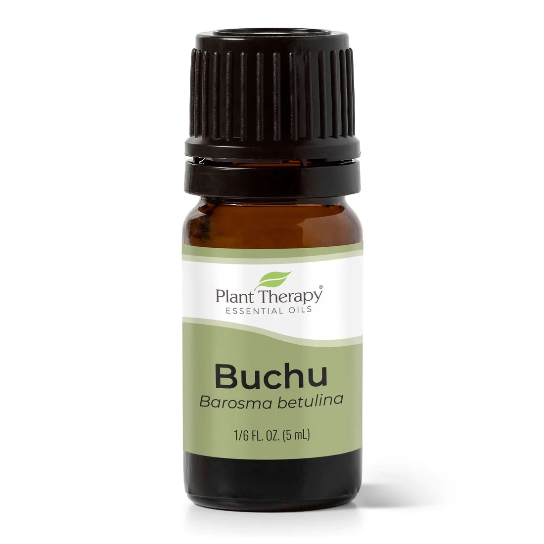 Plant Therapy 南非香葉木 Buchu 精油 - 5ml