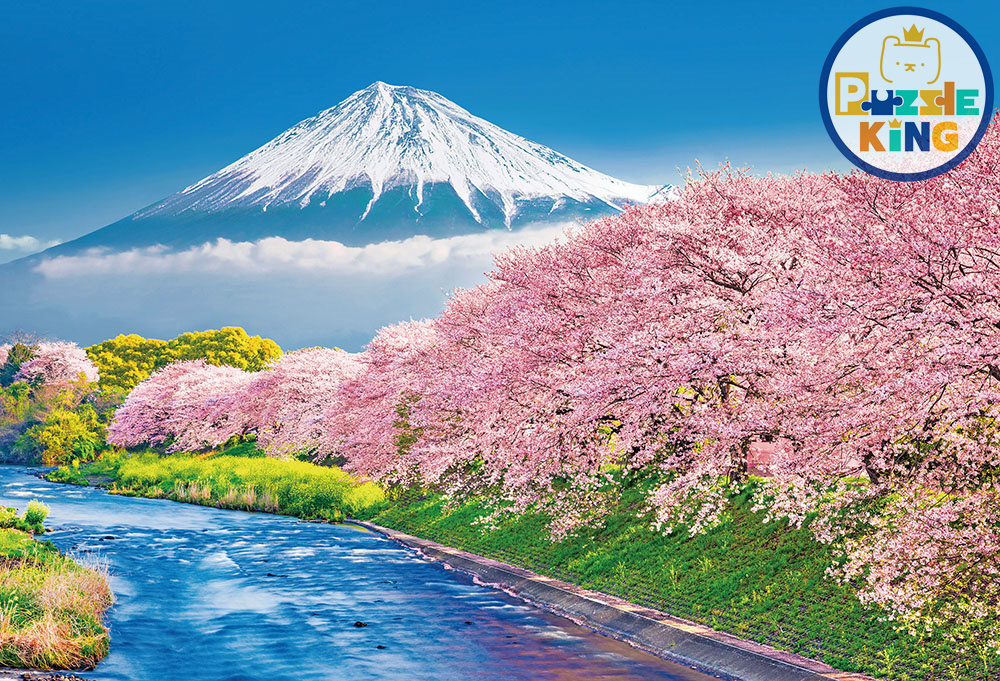 日本風景-富士川和朱尼川的一排排櫻花樹