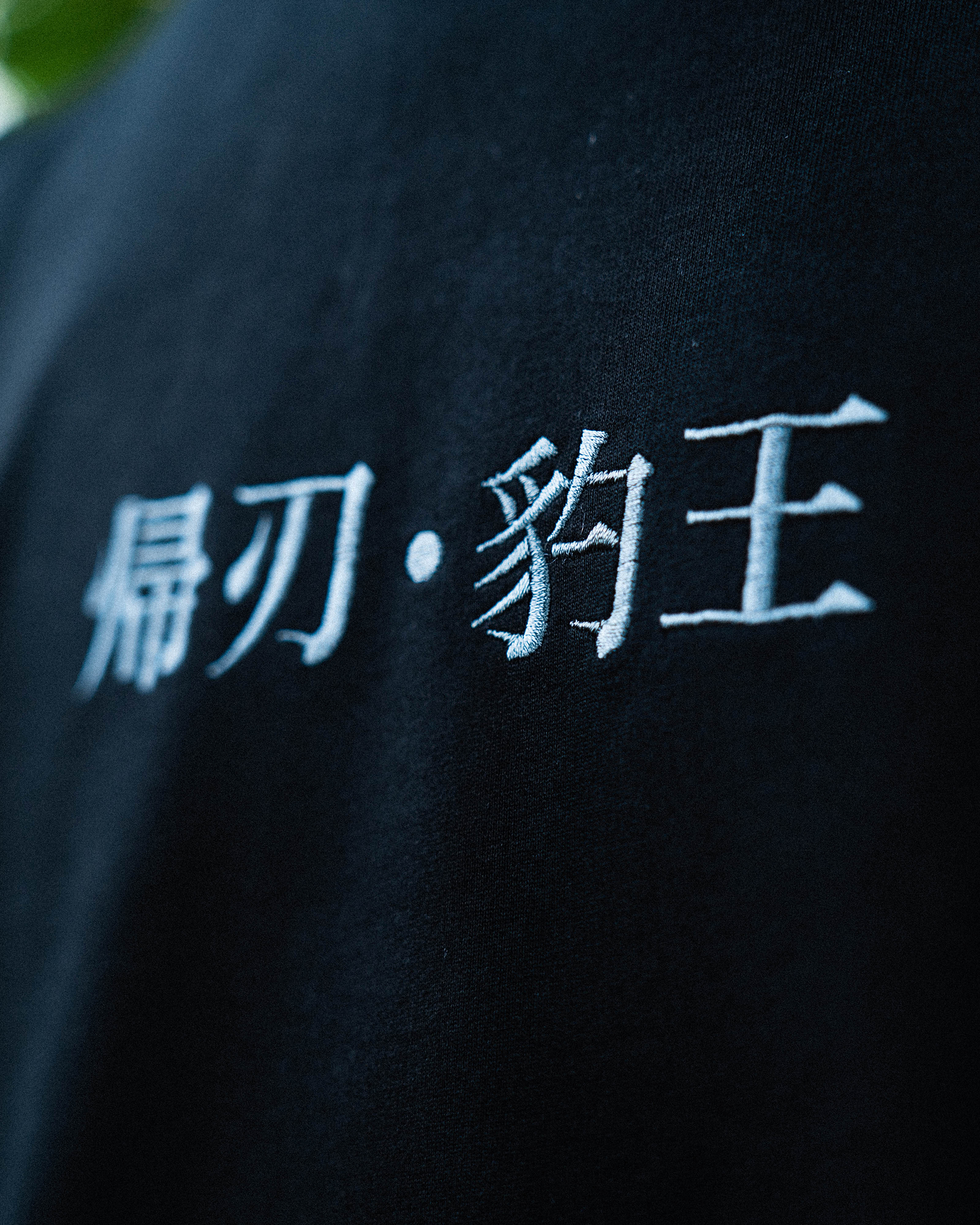 豹王刺繡短T
