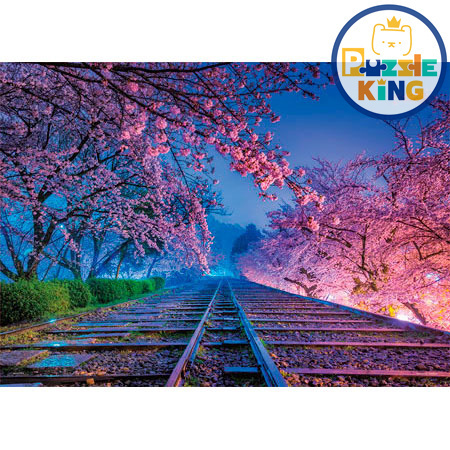 夢幻軌道（京都）(夜光)