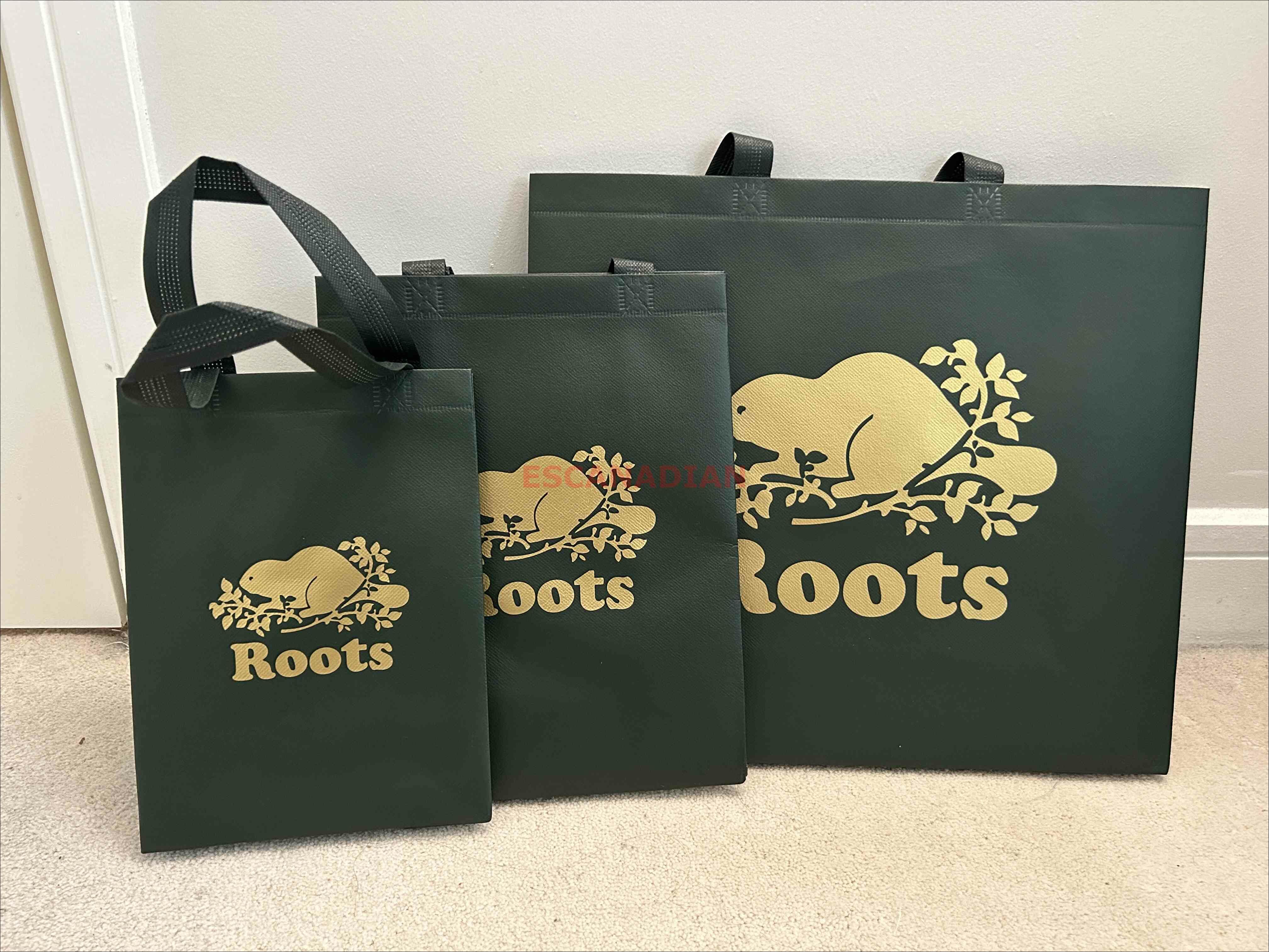 ROOTS 50週年系列 金蔥海狸 環保購物袋 (3個尺寸)