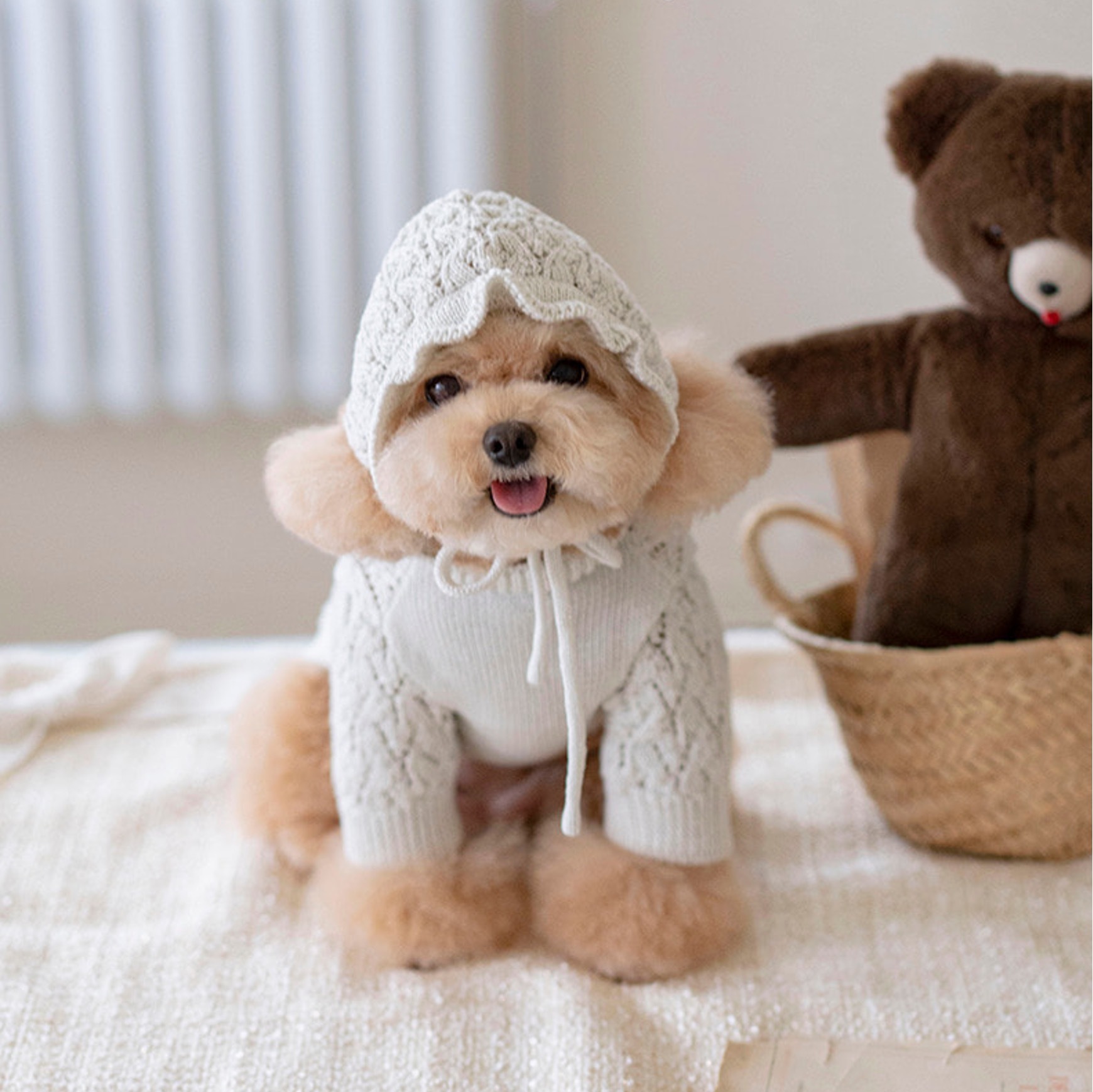 OPAAAP 小星星針織衫