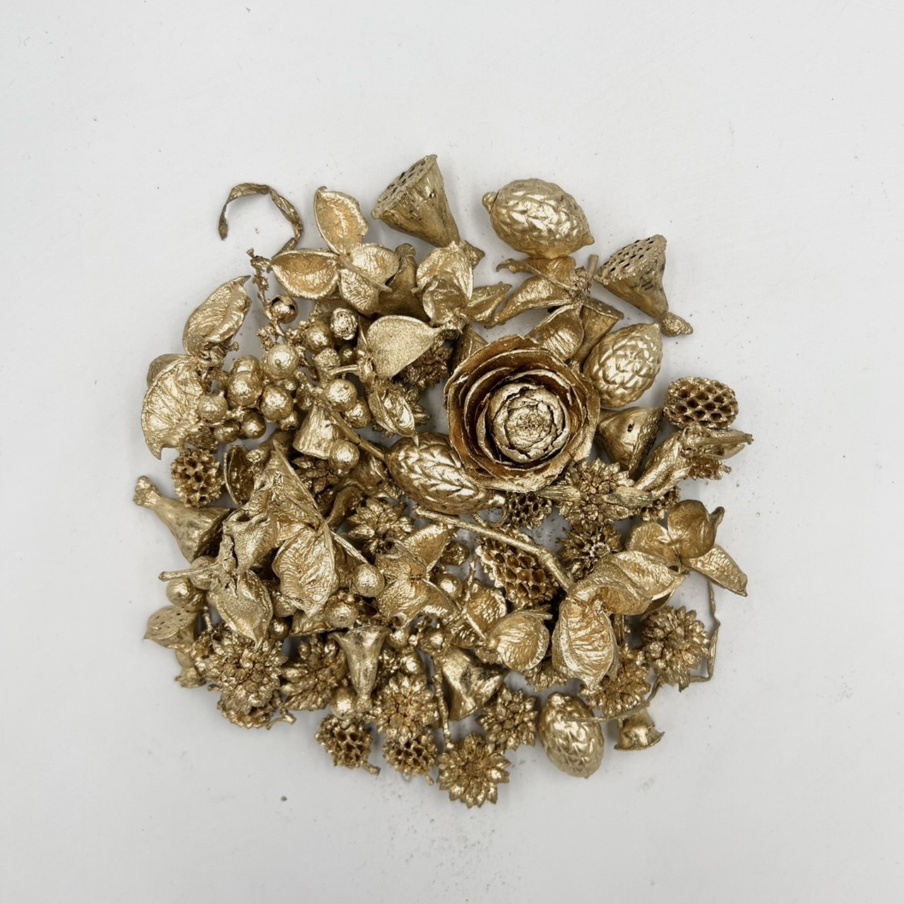 乾燥果實包-金色80g