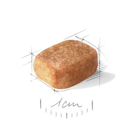 Royal Canin BHN Dog Chihuahua Adult CHH28．1.5kg/3kg