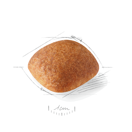 Royal Canin BHN Dog Golden Retriever Adult GOD．12kg