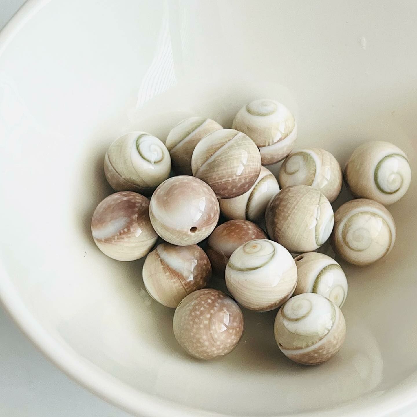 [原石] 太陽貝 / 螺化石 串珠材料