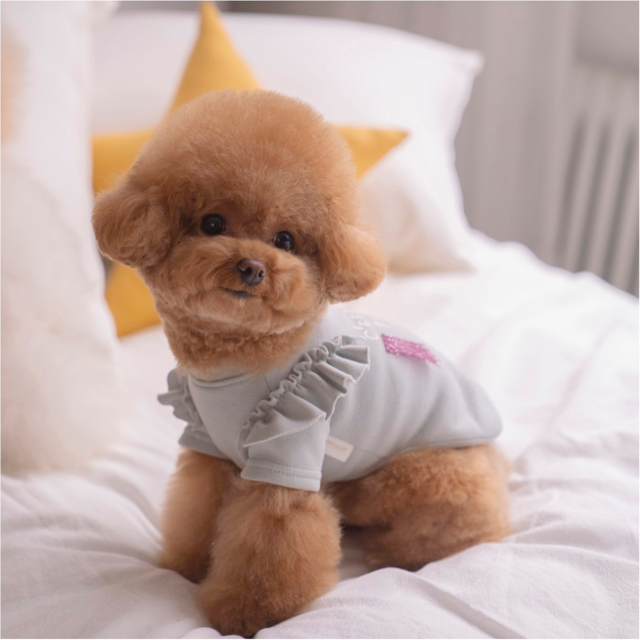 OPAAAP 咪咪莫蘭迪T-Shirt