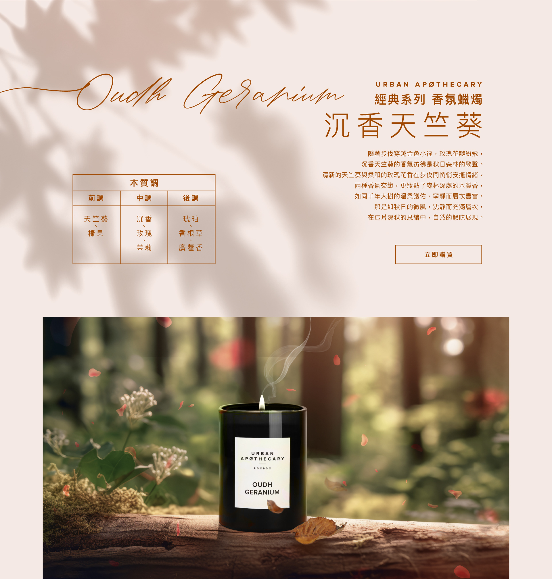 沈香天竺葵OudhGeranium