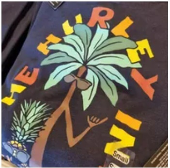 [S] HURLEY FAVORITE FRUIT BROS JERSEY SS GRAPHIC TEE,OBSIDIAN, HSP23VMT06353-401 (SHL14)