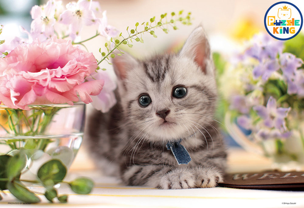 幸福的味道 (世界最小)