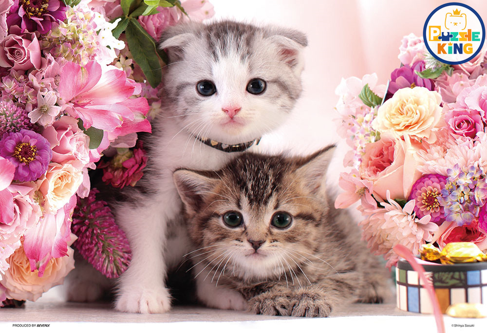 讓我們在一起 (世界最小)