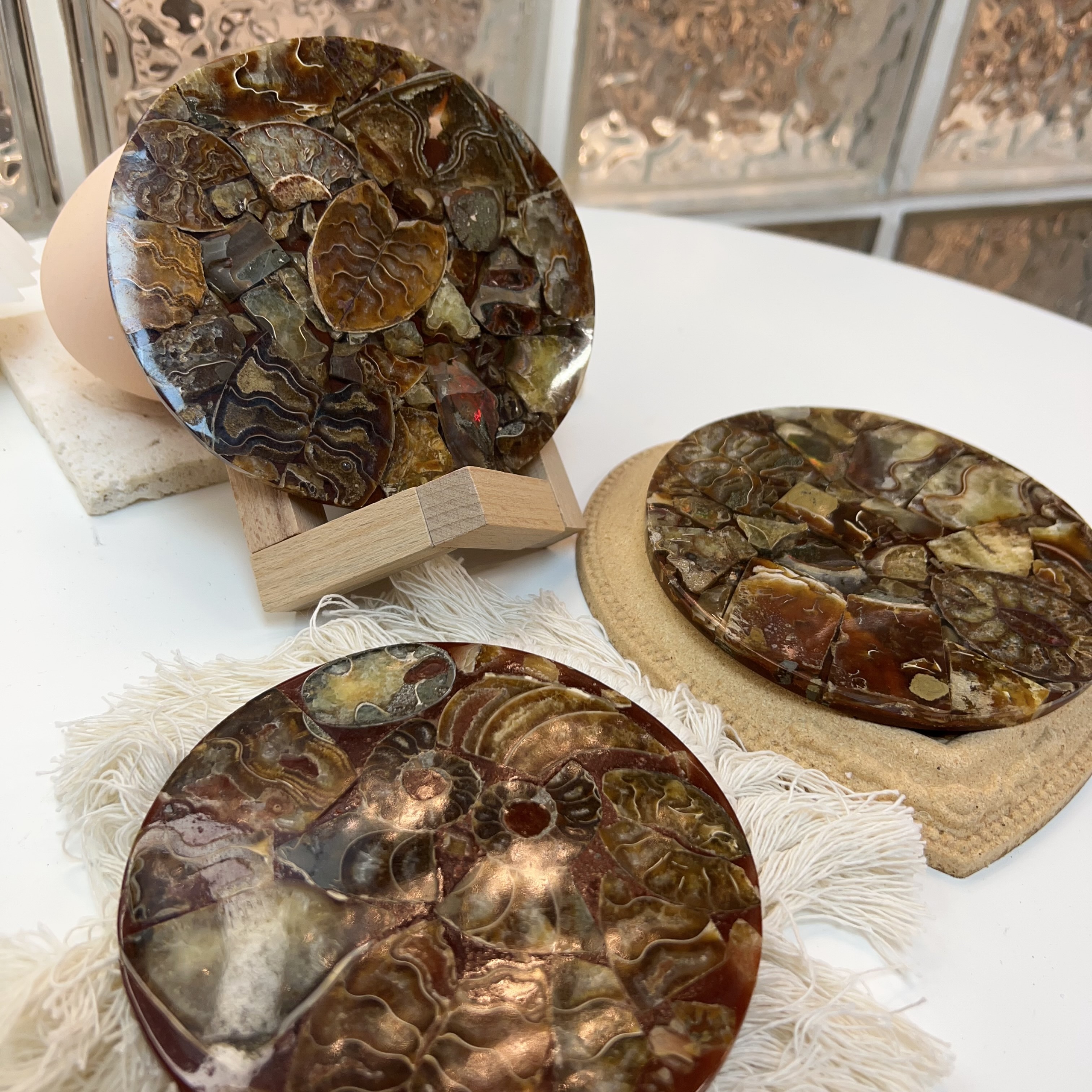 💛$120@2  玉化鸚鵡螺化石片