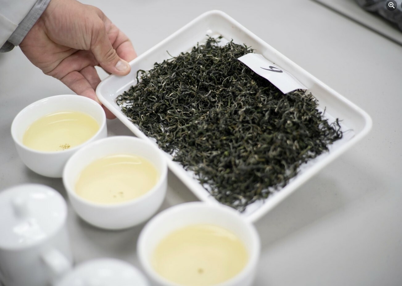 三峽農會💮冬茶-比賽茶碧螺春-優良獎禮盒【300g/盒】