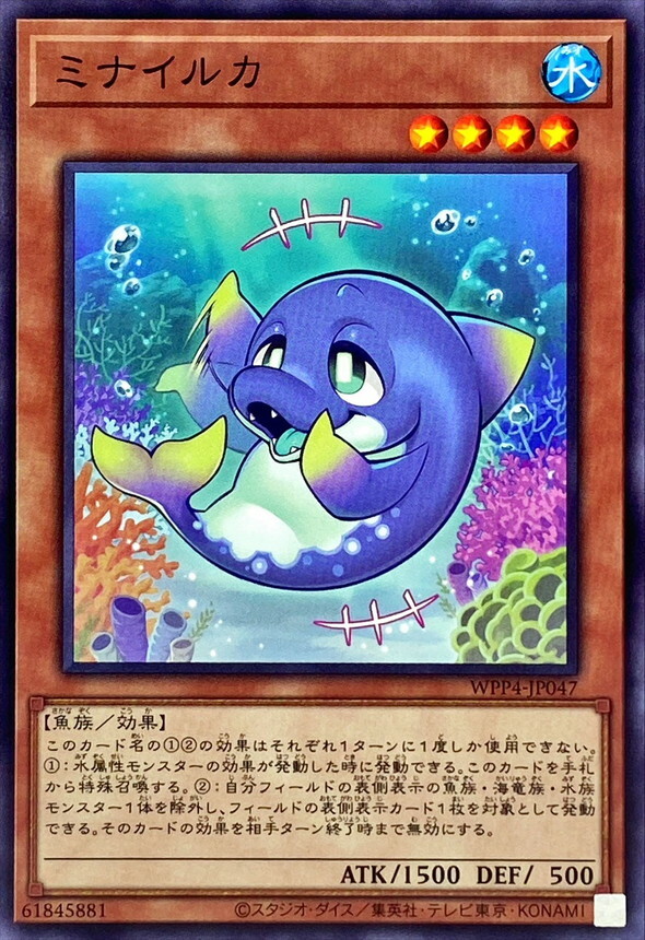 WPP4-JP047 ミナイルカ