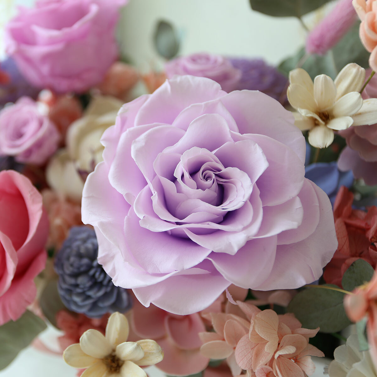 T59｜粉紫色系盆花