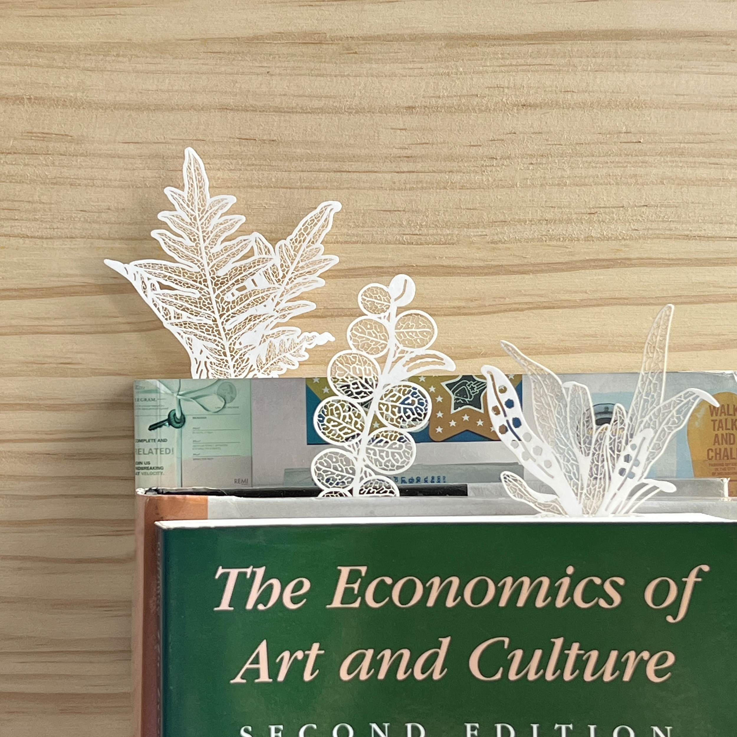 台灣 只有蕨｜蕨類標本紙雕4.0