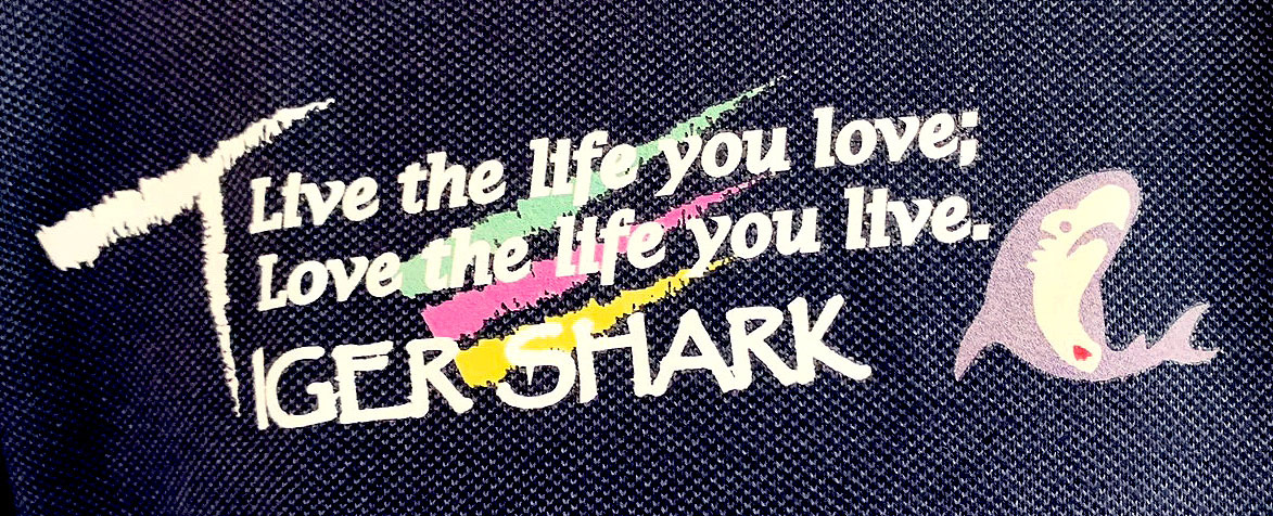 石墨稀保暖Polo衫