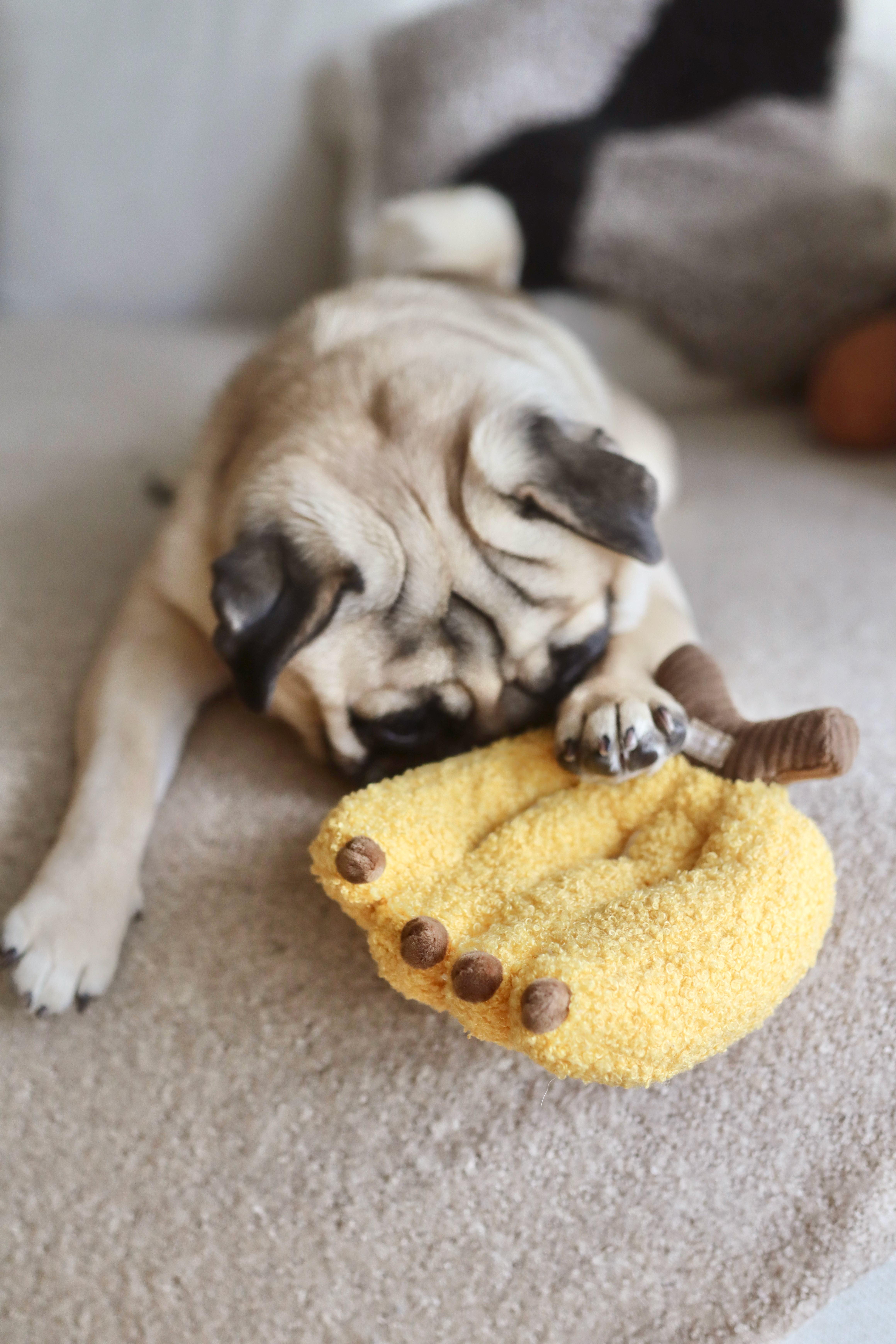 LW | 芭娜娜香蕉