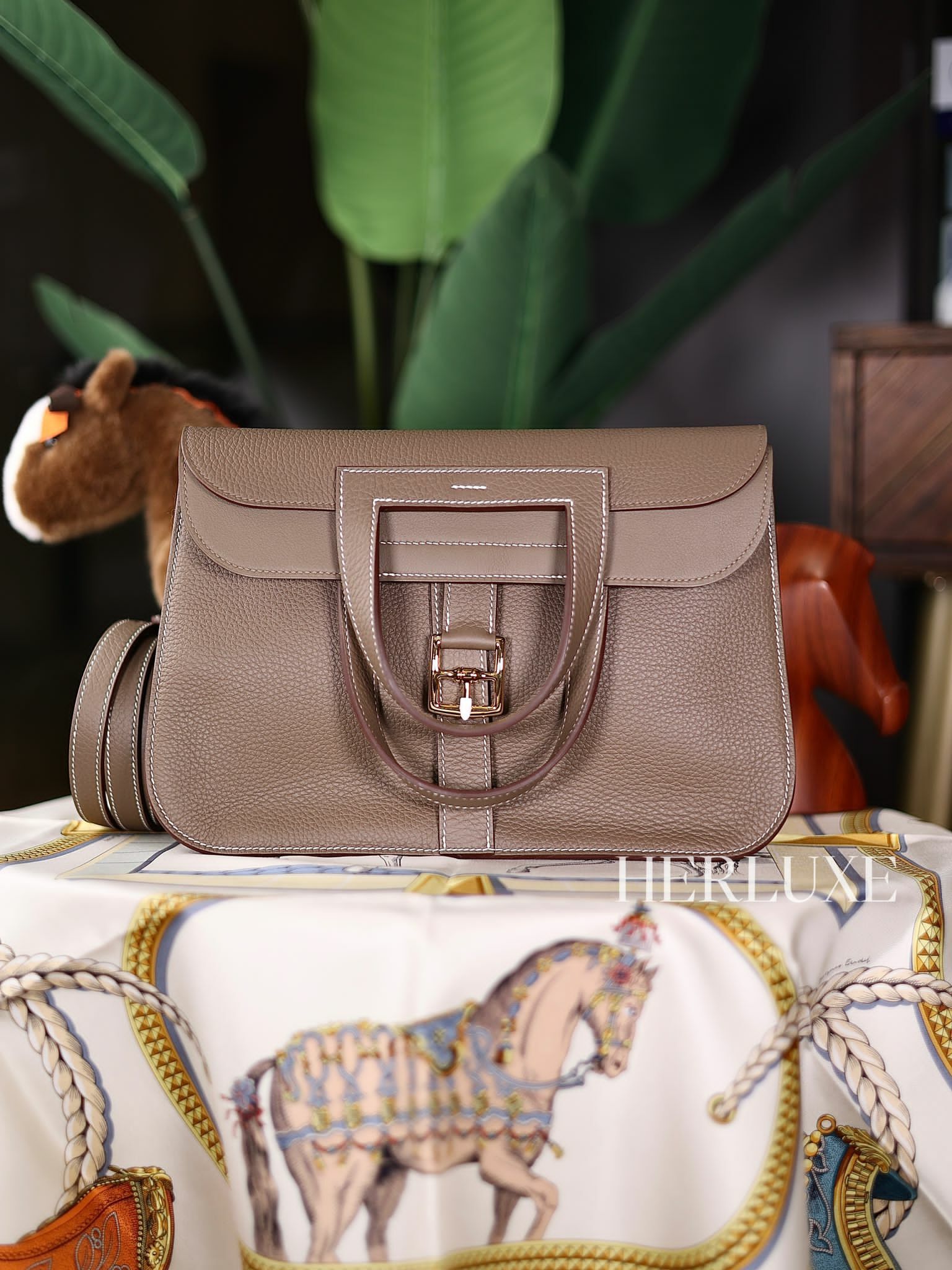 Halzan 31 18 etoupe cc tc