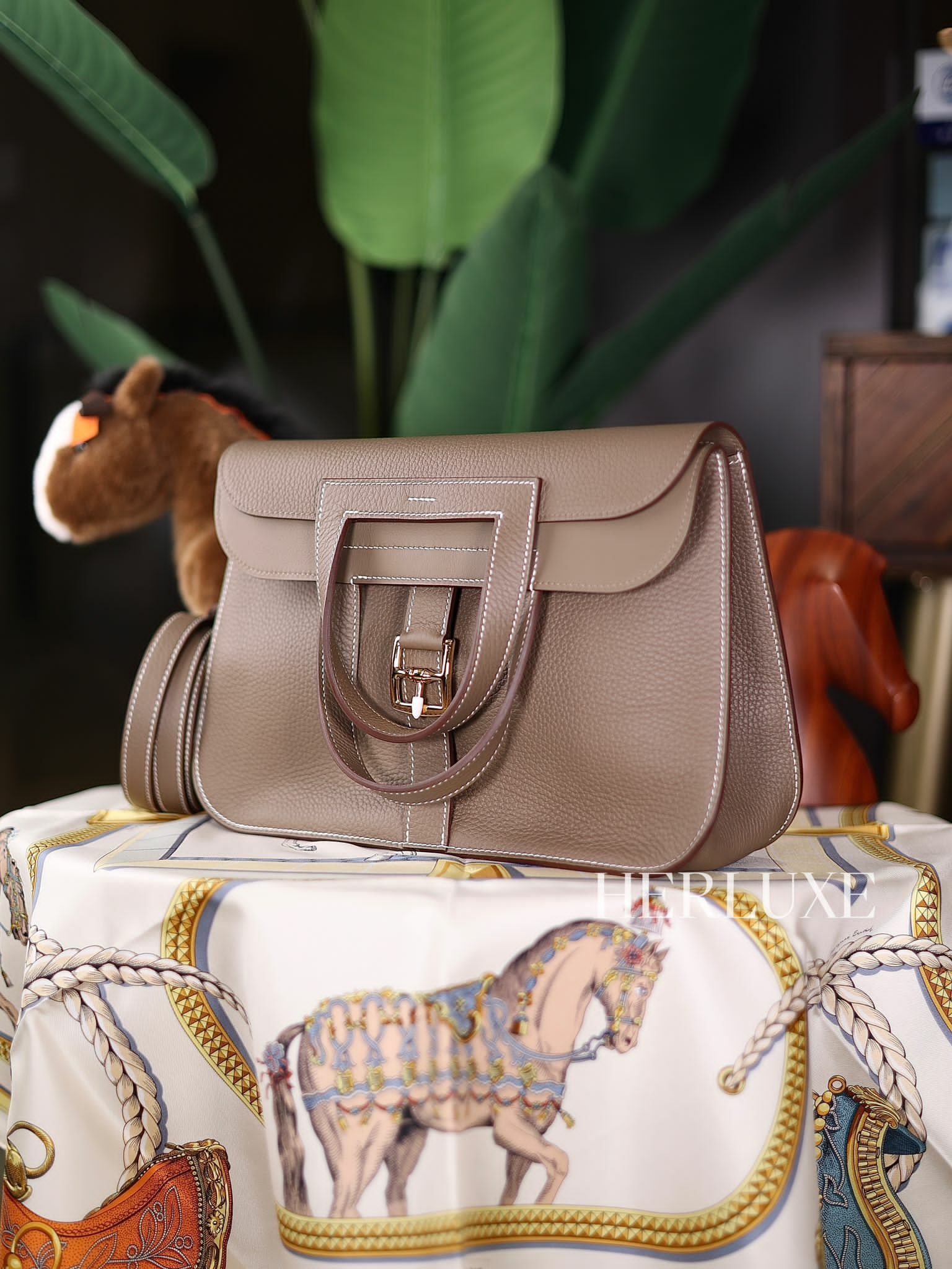 Halzan 31 18 etoupe cc tc