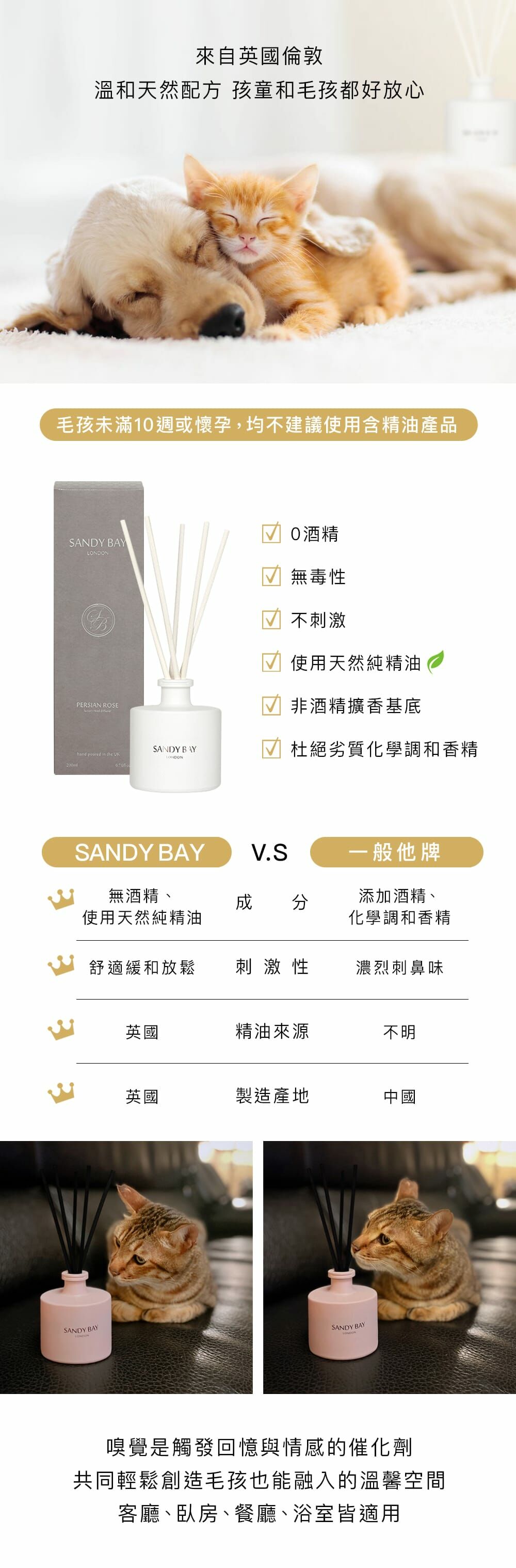 sandybay,sandybaylondon,擴香,香氛,1000ml擴香,除臭劑,香水,1000ml香水,豪華擴香,香氛蠟燭,室內香氛,英國香氛,居家香氛,內湖,換個角度有限公司