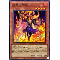 WPP4-JP046 N 魔的觸媒