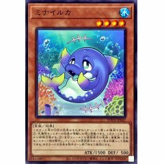 WPP4-JP047  N 不看海豚