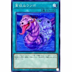 WPP4-JP059  (N/SER) 貪欲的海鱔