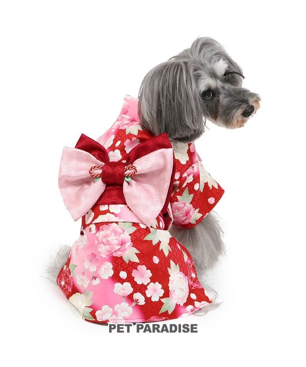 【Pet Paradise】Kimono - Peony & Cherry Blossom <687-17954>