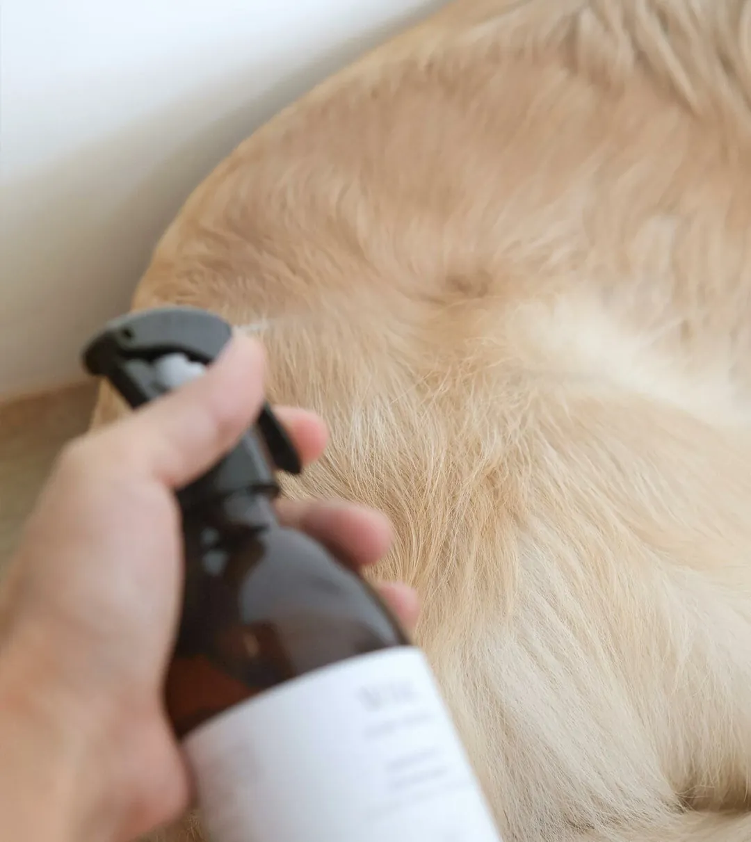 WLD | 舒緩梳毛順噴霧