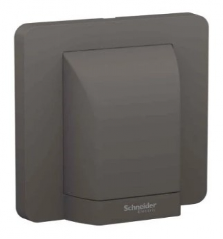 AVATARON奐尚45A單位接線蘇(龜背蘇)