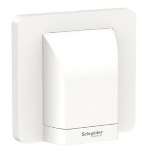 AVATARON奐尚45A單位接線蘇(龜背蘇)