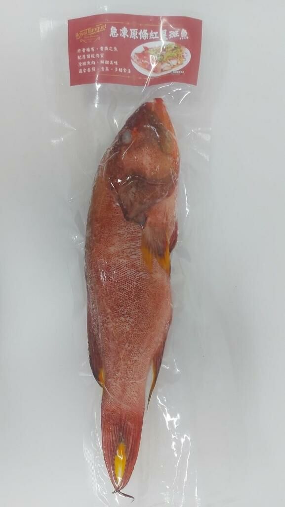 【現貨】越南直接急凍原條紅星斑魚 400克丨休魚期推介