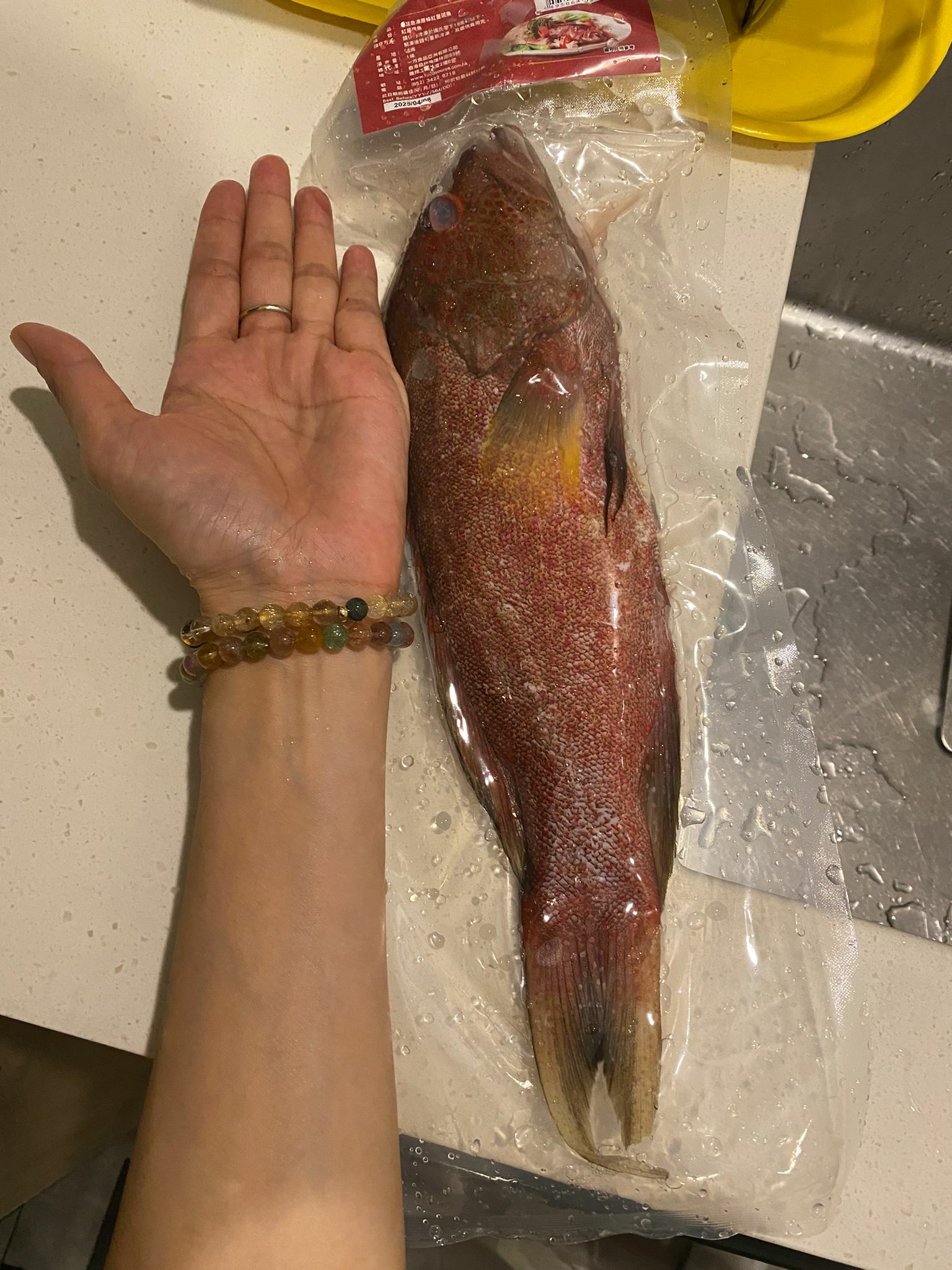 【現貨】越南直接急凍原條紅星斑魚 400克丨休魚期推介