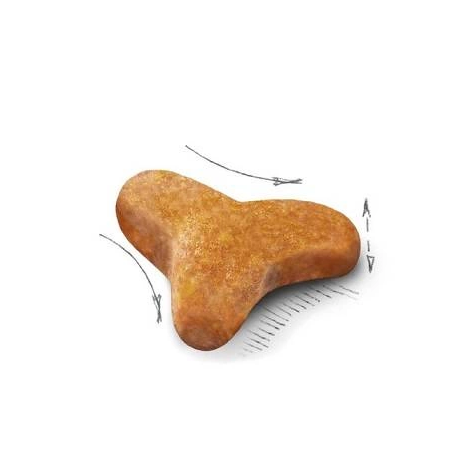 Royal Canin FBN Cat Bengal Adult BEN40．2kg /10kg