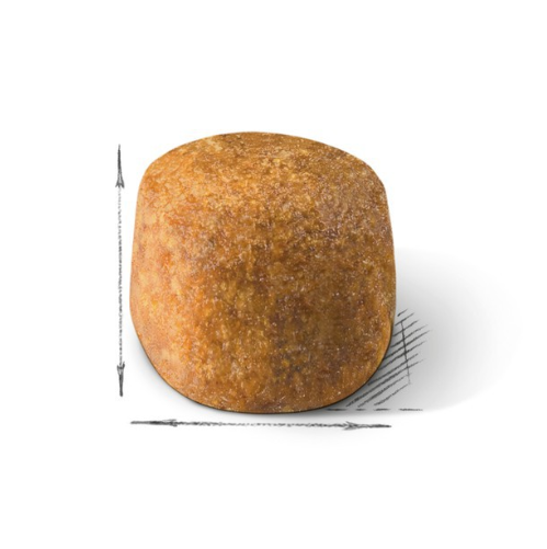 Royal Canin FBN Cat Marine Coon Adult MCO．2kg/10kg