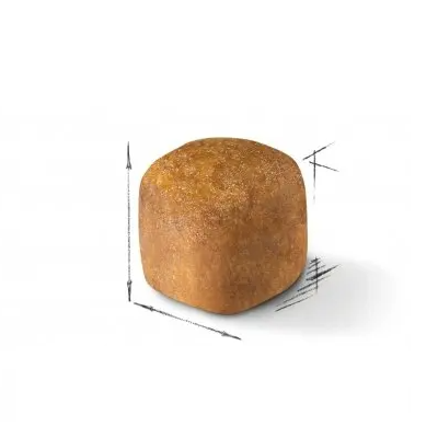 Royal Canin FPN Cat Maine Coon Kitten  KMCO．10kg