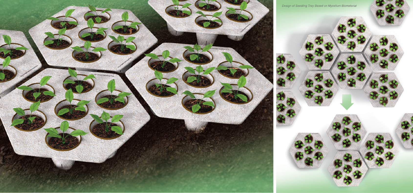 2023年iF學生設計獎獲獎作品_Design of Seedling Tray Based on Mycelium Biomaterial | 育苗托盤/菌絲體生物材料