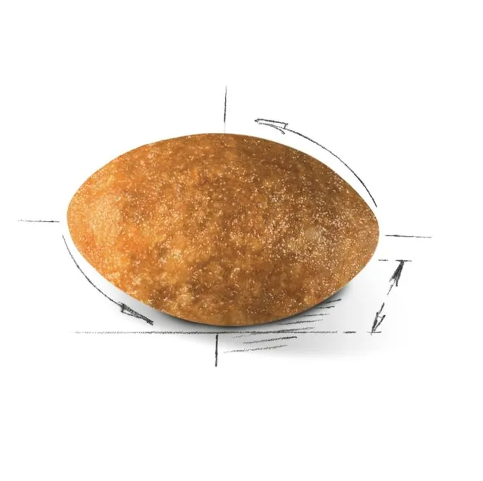 Royal Canin FPN Cat Persian Adult PS30．2kg/4kg/10kg