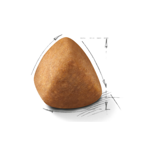 Royal Canin FBN Cat Ragdoll Adult RD．2kg/10kg